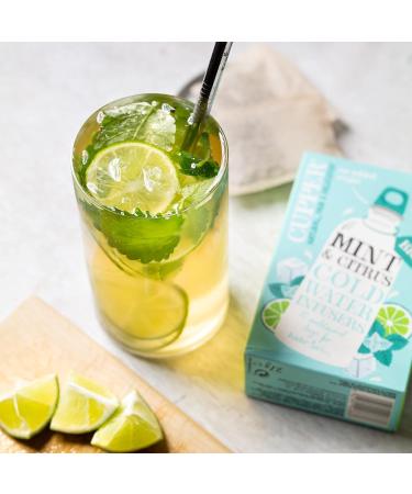 Cupper Bio Cold Water Infusers - Mint & Citrus | 10 Eco-Friendly Fairly Traded Cold Brew Tea Bags - Buy Online on SooperMarket.com