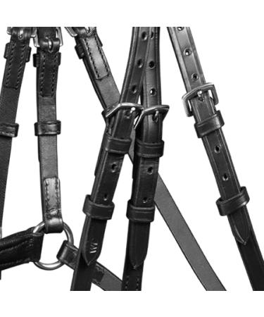 WALDHAUSEN X-Line Standard Bridle Canc n - Black Stainless Steel for Thoroughbreds & Cobs | International Shipping Available - Buy Online on SooperMarket.com