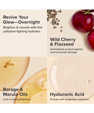 Paula's Choice DEFENSE Nightly Reconditioning Moisturizer - Anti-Pollution Night Cream with Wild Cherry, Flaxseed, Neem, Sunflower Seed & Marula Oil - 0.5 Fl Oz - Buy Online on SooperMarket.com