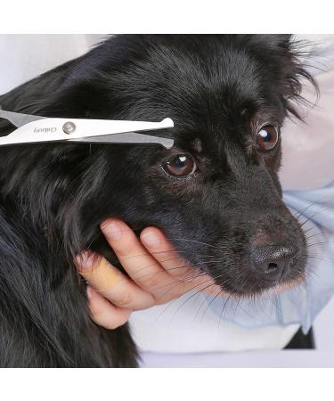 Chibuy Professional Pet Grooming Scissors | Round Tip Stainless Steel Dog Eye Cutter for Dogs and Cats | Professional Grooming Tool | Size 6.70 x 2.6 x 0.43 | Grey - Buy Online on SooperMarket.com
