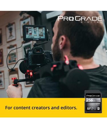 ProGrade Digital 256GB SDXC UHS-II V90 300R Memory Card - High Performance for Professional Use - Buy Online on SooperMarket.com