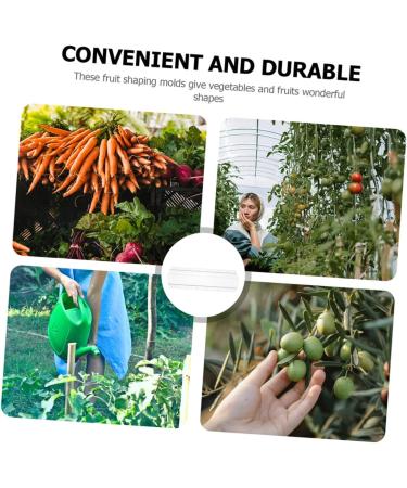 SUPVOX 3pcs Cucumber Cucumbers Fruit Vegetable Forming Shaping Picking Garden Square - Buy Online on SooperMarket.com