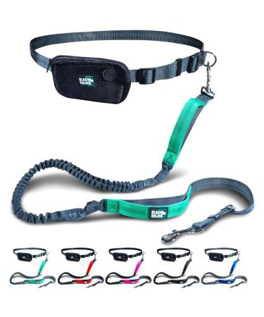 Black Rhino - Premium Hands Free Dog Leash for Running Walking Jogging & Hiking - Adjustable Length Dual Handle Bungee Leash Medium Large Dogs Neoprene Padded Handles - Running Pouch Included Aqua 4 Feet Gray/Aqua