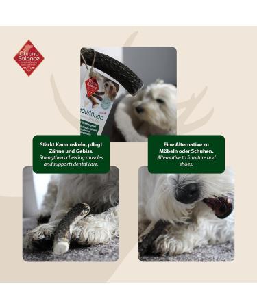 Chronobalance XS (5 Set) 100% Deer Antler Dog Toys & Treats | Additive-Free Chewing Bones | Whole Cake Stuff for Dogs - Buy Online on SooperMarket.com