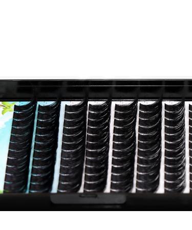 Shop Mixed Cluster Eyelashes - DIY D Curl Individual Lashes 10-12-14-16mm | 0.07mm Thickness | International Shipping - Buy Online on SooperMarket.com