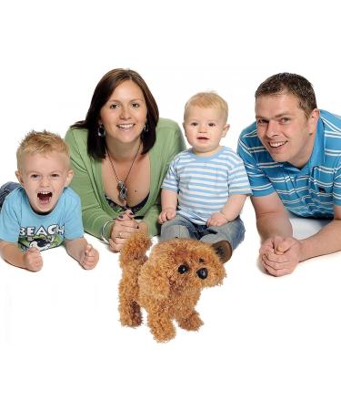 WorWoder Interactive Plush Teddy Dog Toy - Walking, Barking, Wagging Tail - Fun Companion Pet for Kids (Teddy Dog) - Buy Online on SooperMarket.com