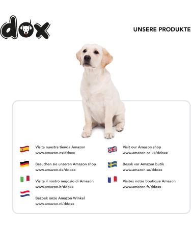 Ddoxx Adjustable Air Mesh Dog Harness - Step-In Padded for Small Medium & Large Dogs | Multiple Colors & Sizes Available | Ideal for Dogs Cats & Puppies - Buy Online on SooperMarket.com