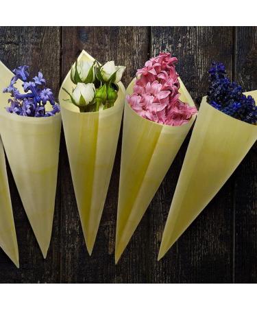 Betinyar Pack of 150 Disposable Wood Food Cone Finger Foods Cones for Appetizers Ice Cream Food Tasting Cones for Buffets Parties (150pcs 5") 150 Count (Pack of 1) - Buy Online on SooperMarket.com