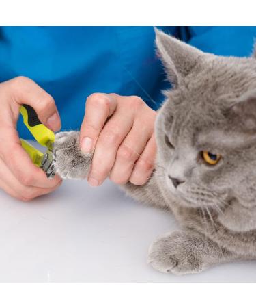 Draftor Pet Nail Clipper Professional Cat Nail Clippers Claw Trimmer Nail Clippers for Dogs Kittens Puppies Hamsters Rabbits and Any Small Pet - Buy Online on SooperMarket.com