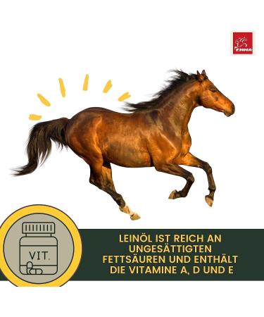 Buy Emma Linseed Oil for Horses & Pets - Cold-Pressed Omega 3 & 6 Fatty Acids for Shiny Fur & Digestion | 2x1L - Ideal for Dogs & Cats - Buy Online on SooperMarket.com