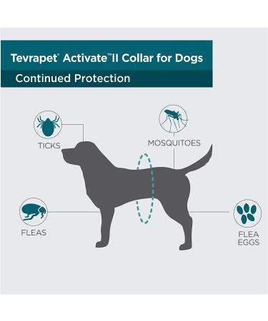 TevraPet Activate II Flea and Tick Collar for Dogs - 12 Month Prevention, 2 Count - One Size Fits All - Buy Online on SooperMarket.com