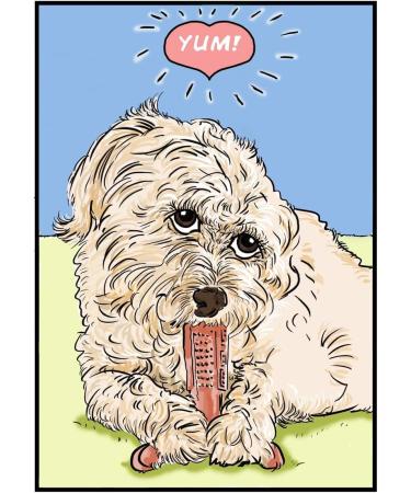 Bamboodles T Bone Dog Chew - Medium Chicken Flavor for Aggressive Chewers - Buy Online on SooperMarket.com