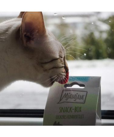 MjAMjAM Snack Box - Delicious Beef Fillet Treats | 5 x 35g | Premium Pet Snacks | Fast International Shipping - Buy Online on SooperMarket.com