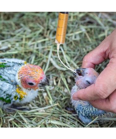 Buy Baby Bird Feeding Syringe - 1 Piece Dispenser with 20 Sterile Hoses for Small Animals Kittens & Puppies - Ideal for Scientific & Industrial Labs - Buy Online on SooperMarket.com