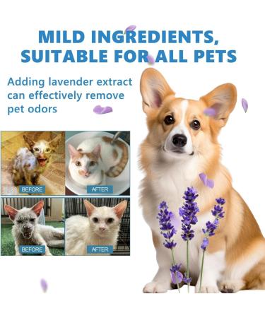 Wash Free Essence for Pets - Leave-in Conditioner & Dog Detangling Spray (2pcs) | Best Tangle Remover for Cats & Dogs - International Shipping Available - Buy Online on SooperMarket.com
