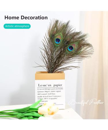 10pcs Multicolored Natural Peacock Feathers for DIY Crafts and Easter Decoration - 10-12 inch - Buy Online on SooperMarket.com