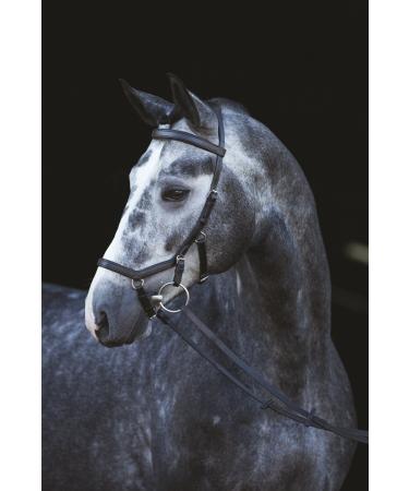 Ireland Rambo Micklem Competition Bridle Black Pony