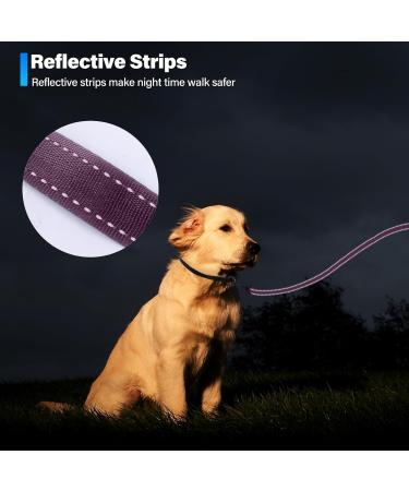 Buy Loutep Reflecting Training Dog Leash - Extra Long Nylon Rope Padded Handle Multiple Lengths for All Dog Sizes - Reflective Violet Ships Internationally - Buy Online on SooperMarket.com