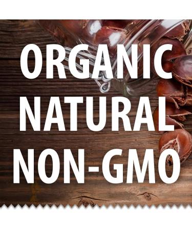 Galil Organic Roasted Chestnuts | Shelled, Gluten Free & Vegan | Ready-to-Eat Snack | 100% Natural | No Preservatives | Perfect for Snacking, Baking, and Cooking | 3.5oz Bags (Pack of 3) - Buy Online on SooperMarket.com