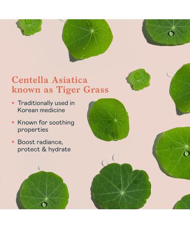 Erborian CC Cream Red Correct with Centella Asiatica - SPF Korean Skincare Skin Perfector 1.5oz - Buy Online on SooperMarket.com