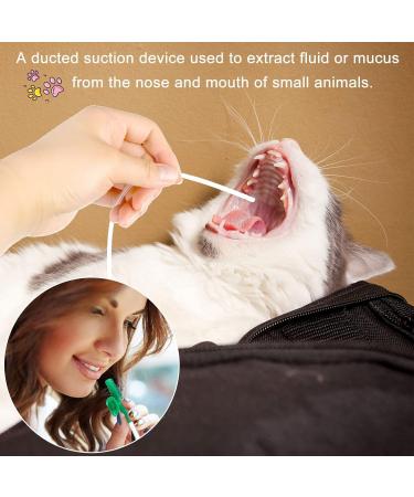 Puppy Kitten Feeding Tube Kit Includes 5 Pcs Kitten Feeding 5 ML 10 ML 20 ML 30 ML 60 ML 4 Pcs Red Feeding Tubes 1Pcs Rubber Suction Device and Air Blowing for Newborn Animals(11Pack) - Buy Online on SooperMarket.com