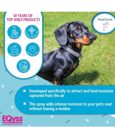 Eqyss Premier Pet Spray 16oz - Coat Moisturizer for Dogs and Cats - Buy Online on SooperMarket.com
