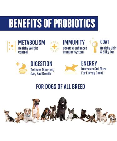 Premium Dog Probiotics 5BIL CFUs | 12 Strains Good Bacteria for Gut & Skin Health | Immune Support & Itch Relief | Salmon Flavored Chews for All Breeds & Ages - Buy Online on SooperMarket.com