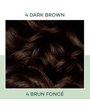 Clairol Natural Instincts Demi-Permanent Hair Dye 4 Dark Brown Color - 5.85 Fl Oz (Pack of 1) - Buy Online on SooperMarket.com