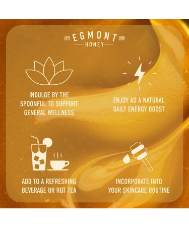 Egmont Manuka Honey MGO 459+ from New Zealand | Buy 250g & 500g Online - Premium Quality - Buy Online on SooperMarket.com
