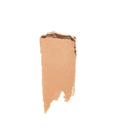 Shiseido Synchro Skin GelStick Concealer - Medium Coverage, 24-Hour Wear - Non-Comedogenic Fair - 103 - Buy Online on SooperMarket.com