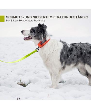 Toozey Waterproof Drag Line for Dogs - 3m 5m 7m 10m 15m 20m - Robust Leash with Hand Loop & Mains Bag - Perfect for All Dog Sizes - Neon Yellow - Buy Online on SooperMarket.com