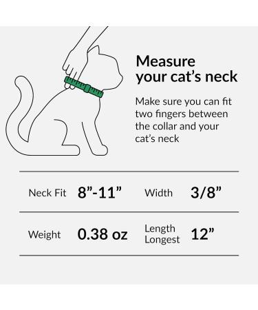 Collardirect Leather Cat Neck Band - Safety Collar with Elastic Belt & Bell | Adjustable 23-28 cm | Available in Black Blue Red Orange Green Pink - Buy Online on SooperMarket.com