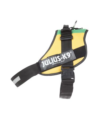 IDC Powerharness Size: 3XL/4 Lithuanian Colors Lithuanian Colors 3XL/4