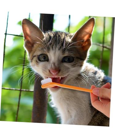 Kisangel 30 pcs Dual-head Handheld Clean Supplies Cat Nylon Oral Cleaning Brush Small Pet Puppy Portable 1 count (Pack of 1) Assorted Colorx3pcs - Buy Online on SooperMarket.com