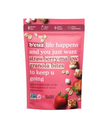 B'cuz Granola Bites 4-Bag Gluten Free Healthy Snacks for adults, Healthy Granola Gluten Free Snack - Kosher Snacks for Kids, Vegan Snack - 3 oz Strawberry-Mallow (Pack of 4) Strawberry-Mallow 3 Ounce (Pack of 4)