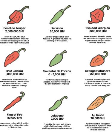 South Devon Chilli Farm Smoky Chipotle Sauce | Medium-Hot Traditional Mexican Sauce - Made with our Applewood-Smoked Home-Grown Jalapenos Versatile Gluten Free - Case of 6 140ml Bottles - Buy Online on SooperMarket.com
