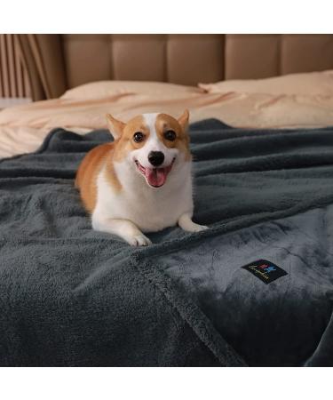 Waterproof Pet Blanket | Liquid Pee Proof Dog Blanket for Sofa Bed Couch | Reversible Sherpa Fleece Furniture Protector Cover | Dark Gray Large 65 x 57 | Suitable for Small, Medium, Large Dogs & Cats - Buy Online on SooperMarket.com