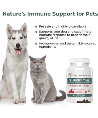 Turkey Tail Pet Support - Vet-Approved Dog Multivitamins for Immune & Gut Health (90ct) - Buy Online on SooperMarket.com