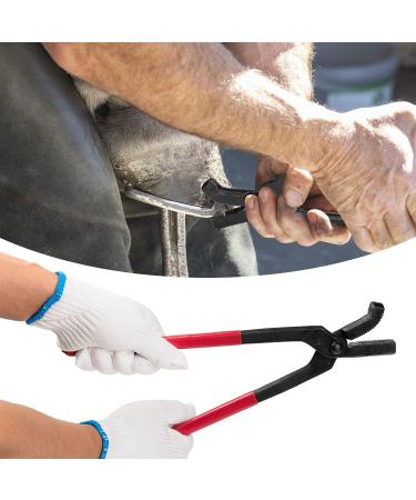 capuca Farrier Tools Horse Hoof Trimmers - 14PCS Goat Hoof Trimmers Kit 8 Inch Hoof Rasp Nippers Pick Knife Cutter Buffer Hammer Brushes with Hoof Knife Sharpener for Pigs Silver-14 PCS - Buy Online on SooperMarket.com