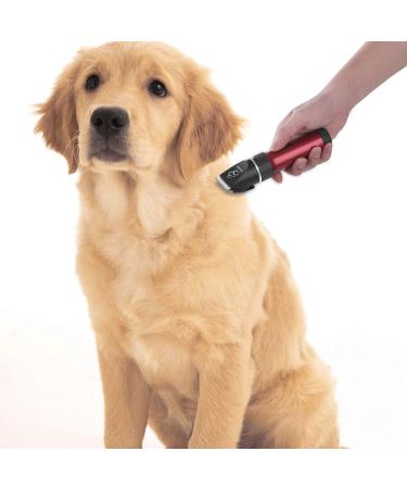 Sminiker Low Noise Rechargeable Pet Clippers Kit - 5 Speed Grooming Set for Cats and Dogs with Storage Bag - Buy Online on SooperMarket.com