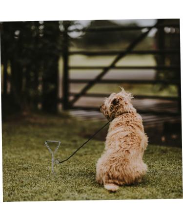 Buy Angoily Stainless Steel Dog Clutch Belt - 2-Piece Metal Binder Set (42x8.5x4cm) - Durable Silver Design for International Shipping - Buy Online on SooperMarket.com
