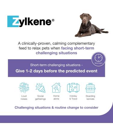 Zylkenee 450mg - 20 Capsules | Natural Stress Relief Supplement for Pets | Fast International Shipping - Buy Online on SooperMarket.com