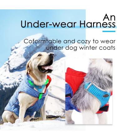 Thinkpet No-Pull Dog Harness Leash Set - Breathable Padded Reflective Safety Harness for Small Medium Large Dogs - Adjustable Running Harness (1 Pack) - Blue - Buy Online on SooperMarket.com