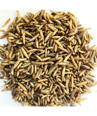 Superpet Dried Calciworms Calci Worms Similar To Mealworms For Birds Fish And Many More (5Kg) 5 kg (Pack of 1)