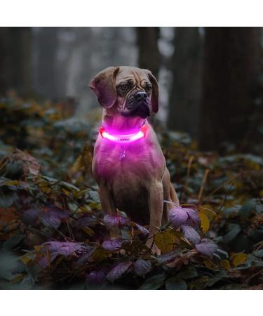Buy Laroo Waterproof LED Light Band for Dogs & Cats - Bright Easy Attach Flashing Collar Light in Pink - Buy Online on SooperMarket.com