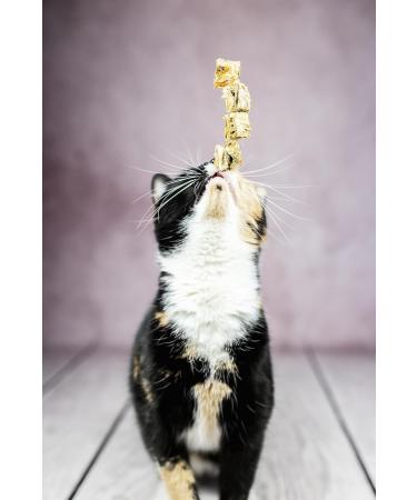MASCATA VITAL Fish Snacks for Cats & Dogs Protein-Rich Fatty Acid Boost Gently Dried Cod Treats - Premium European Quality - Buy Online on SooperMarket.com