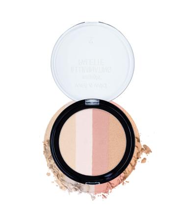 Wet n Wild Megaglo Illuminating Blush Palette  Catwalk Pink | Blush & Highlighter Makeup