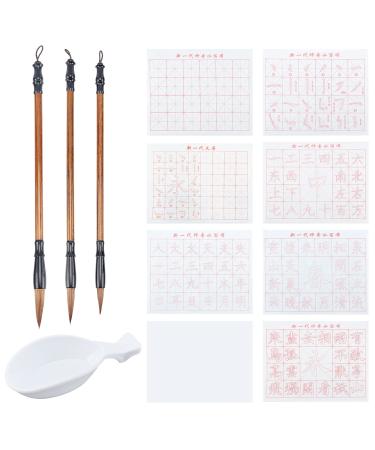PH PandaHall 12pcs No Ink Chinese Calligraphy Set  8 Styles Gridded Brush Water Writing Cloth Paper  3pcs Sienna Chinese Traditional Calligraphy Brushes and Water Dish for Beginners Practice  17x13