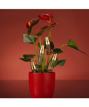 Valentines Gifts for Women Perfume Sampler for Women 12pc Perfumes for Women and Men Fragrance Sets Floral Perfume Samplers for Travel - Birthday Gifts for Women Gifts for Mom from Daughter - Buy Online on SooperMarket.com
