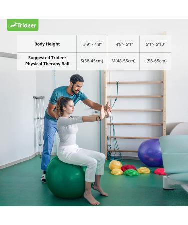 Trideer Exercise Ball for Physical Therapy and Fitness - Green, L (23-26 inches) - Swiss Ball for Rehab, Core Strength, Yoga, Balance, and Flexibility - Buy Online on SooperMarket.com